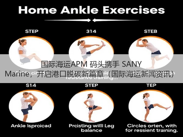 国际海运APM 码头携手 SANY Marine,开启港口脱碳新篇章(国际海运新闻资讯)(图2) 国际海运APM 码头携手 SANY Marine,开启港口脱碳新篇章(国际海运新闻资讯)(图2)