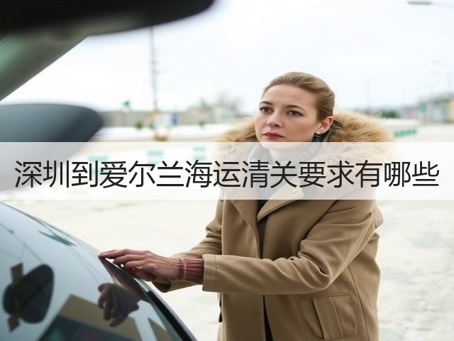 深圳到爱尔兰海运清关要求有哪些(图3)