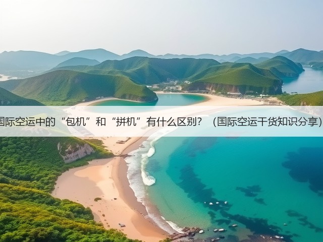 国际空运中的“包机”和“拼机”有什么区别？（国际空运干货知识分享）(图2)