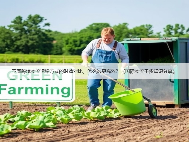不同跨境物流运输方式的时效对比，怎么选更高效？（国际物流干货知识分享）
