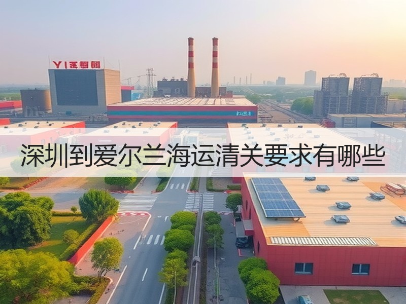 深圳到爱尔兰海运清关要求有哪些 深圳到爱尔兰海运清关要求有哪些