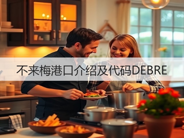 不来梅港口介绍及代码DEBRE(图3) 不来梅港口介绍及代码DEBRE(图3)