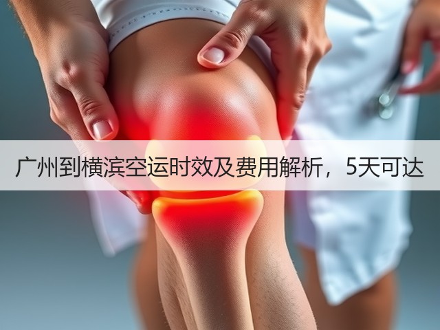广州到横滨空运时效及费用解析，5天可达(图1)
