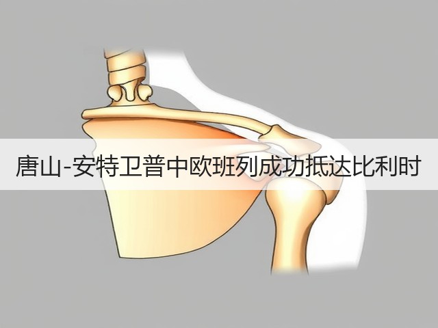 唐山-安特卫普中欧班列成功抵达比利时(图1) 唐山-安特卫普中欧班列成功抵达比利时(图1)