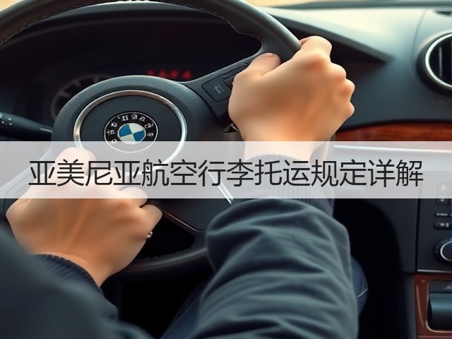亚美尼亚航空行李托运规定详解(图3) 亚美尼亚航空行李托运规定详解(图3)