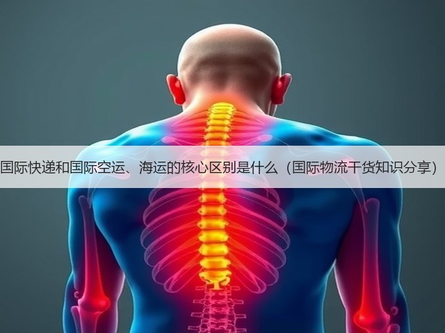 国际快递和国际空运、海运的核心区别是什么(国际物流干货知识分享)(图3) 国际快递和国际空运、海运的核心区别是什么(国际物流干货知识分享)(图3)