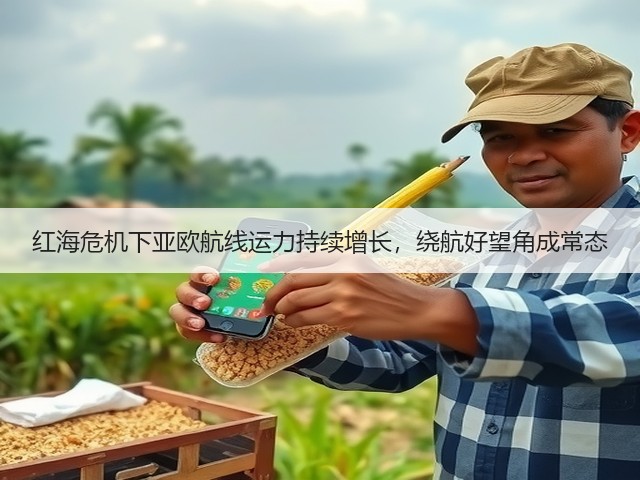 红海危机下亚欧航线运力持续增长,绕航好望角成常态(图1) 红海危机下亚欧航线运力持续增长,绕航好望角成常态(图1)