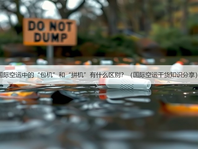 国际空运中的“包机”和“拼机”有什么区别?(国际空运干货知识分享)(图1) 国际空运中的“包机”和“拼机”有什么区别?(国际空运干货知识分享)(图1)