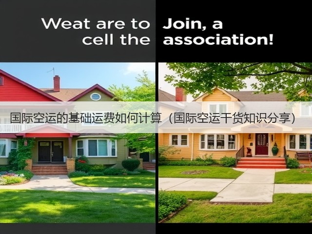 国际空运的基础运费如何计算(国际空运干货知识分享)(图3) 国际空运的基础运费如何计算(国际空运干货知识分享)(图3)