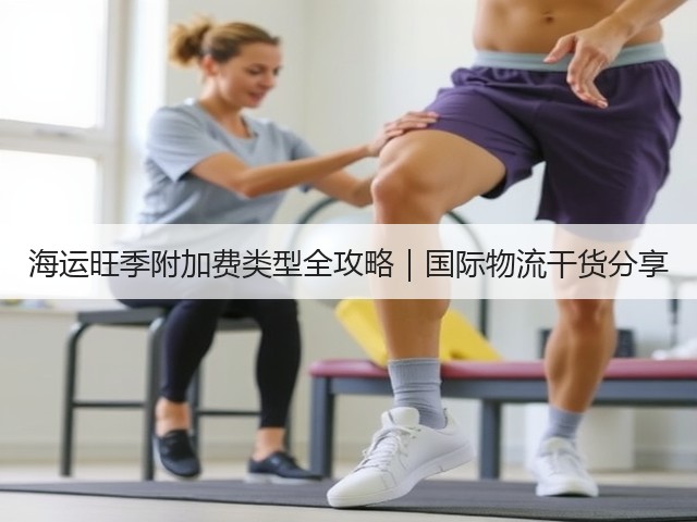 海运旺季附加费类型全攻略|国际物流干货分享(图3) 海运旺季附加费类型全攻略|国际物流干货分享(图3)