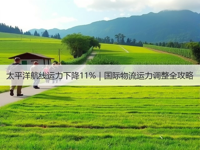 太平洋航线运力下降11%|国际物流运力调整全攻略(图3) 太平洋航线运力下降11%|国际物流运力调整全攻略(图3)