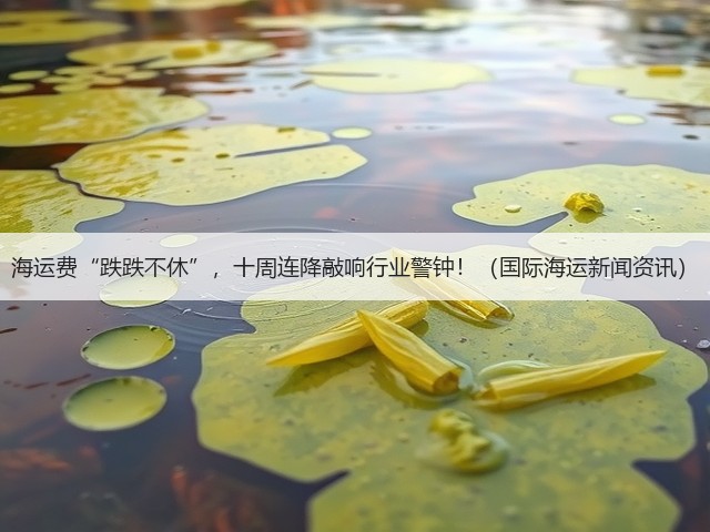 海运费“跌跌不休”,十周连降敲响行业警钟!(国际海运新闻资讯)(图1) 海运费“跌跌不休”,十周连降敲响行业警钟!(国际海运新闻资讯)(图1)