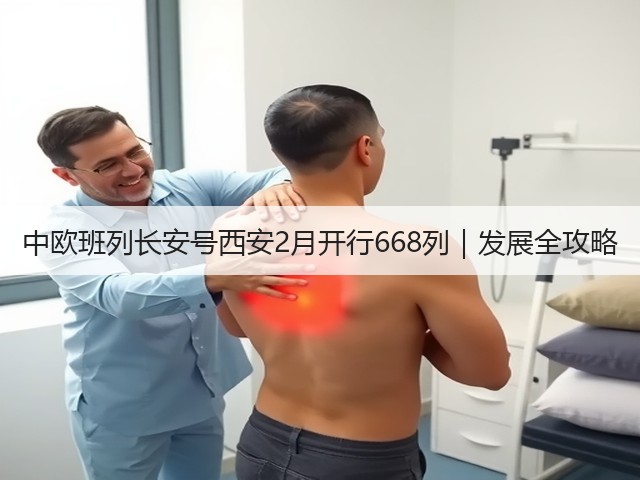 中欧班列长安号西安2月开行668列|发展全攻略(图3) 中欧班列长安号西安2月开行668列|发展全攻略(图3)