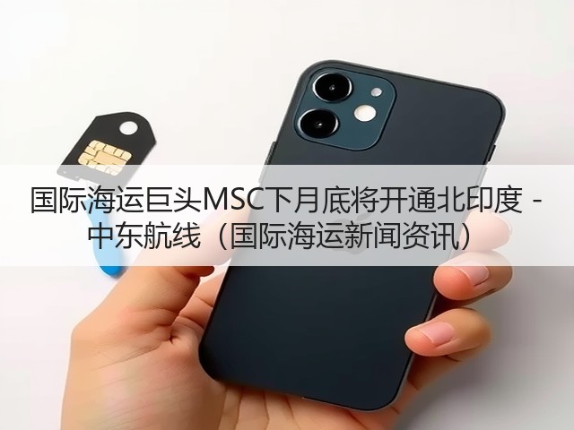 国际海运巨头MSC下月底将开通北印度 - 中东航线（国际海运新闻资讯）(图3)
