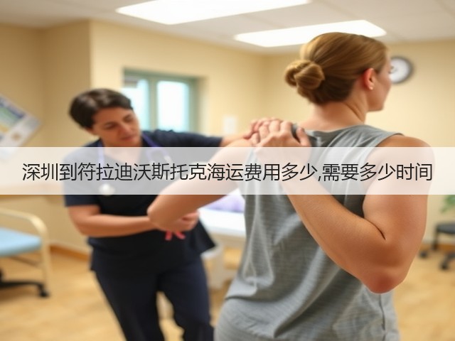 深圳到符拉迪沃斯托克海运费用多少,需要多少时间(图3) 深圳到符拉迪沃斯托克海运费用多少,需要多少时间(图3)