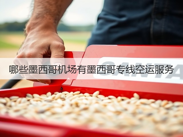 哪些墨西哥机场有墨西哥专线空运服务(图2) 哪些墨西哥机场有墨西哥专线空运服务(图2)