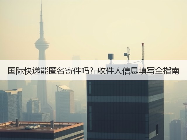国际快递能匿名寄件吗?收件人信息填写全指南(图2) 国际快递能匿名寄件吗?收件人信息填写全指南(图2)