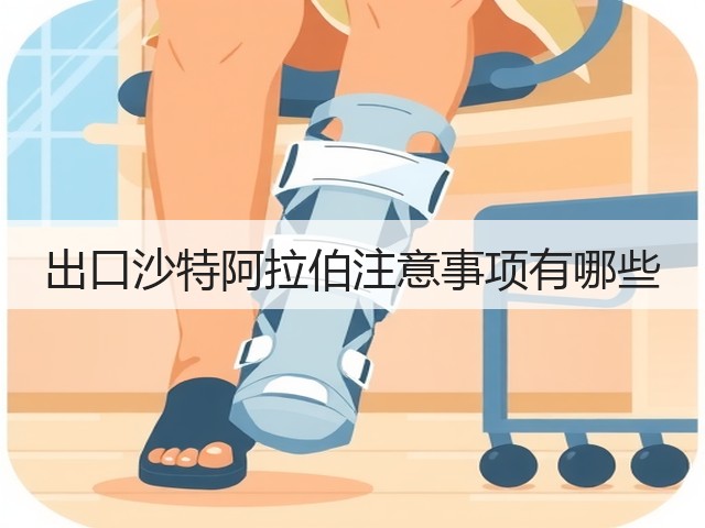 出口沙特阿拉伯注意事项有哪些(图3) 出口沙特阿拉伯注意事项有哪些(图3)