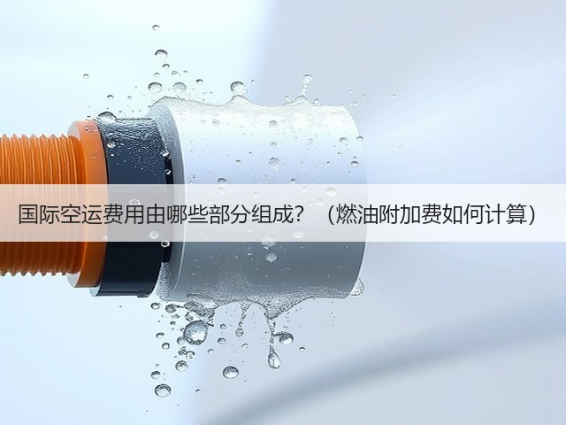 国际空运费用由哪些部分组成?(燃油附加费如何计算)(图3) 国际空运费用由哪些部分组成?(燃油附加费如何计算)(图3)