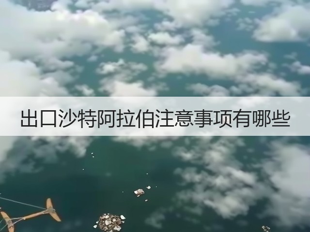 出口沙特阿拉伯注意事项有哪些(图2)
