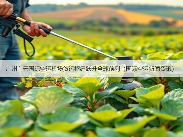 广州白云国际空运机场货运枢纽跃升全球前列(国际空运新闻资讯)(图2) 广州白云国际空运机场货运枢纽跃升全球前列(国际空运新闻资讯)(图2)