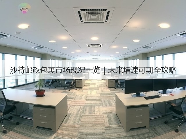 沙特邮政包裹市场现况一览|未来增速可期全攻略(图3) 沙特邮政包裹市场现况一览|未来增速可期全攻略(图3)