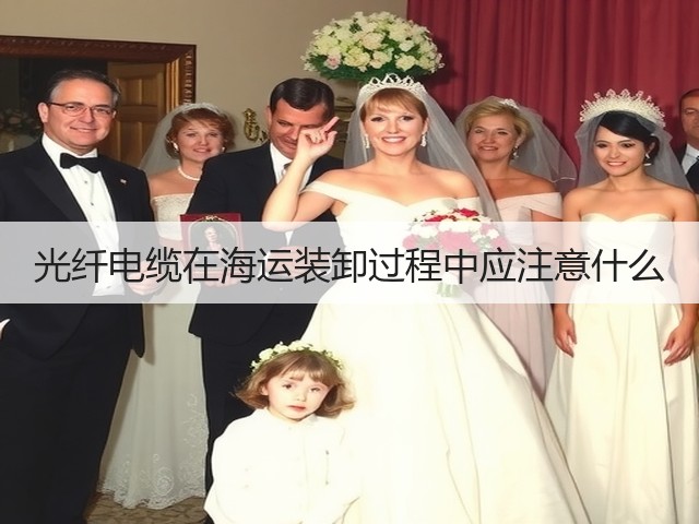 光纤电缆在海运装卸过程中应注意什么(图3) 光纤电缆在海运装卸过程中应注意什么(图3)