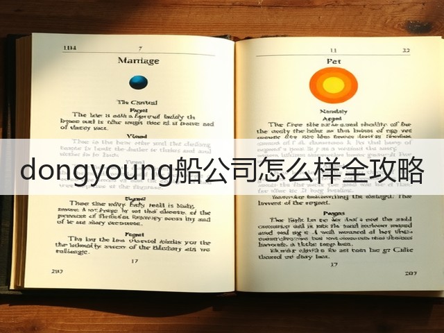 dongyoung船公司怎么样全攻略(图3) dongyoung船公司怎么样全攻略(图3)