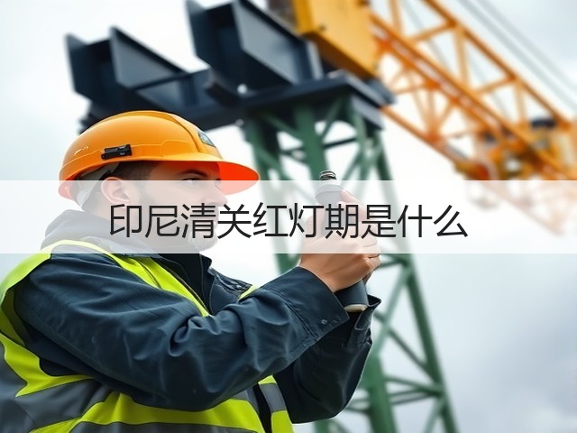 印尼清关红灯期是什么(图3) 印尼清关红灯期是什么(图3)