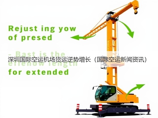 深圳国际空运机场货运逆势增长(国际空运新闻资讯)(图2) 深圳国际空运机场货运逆势增长(国际空运新闻资讯)(图2)