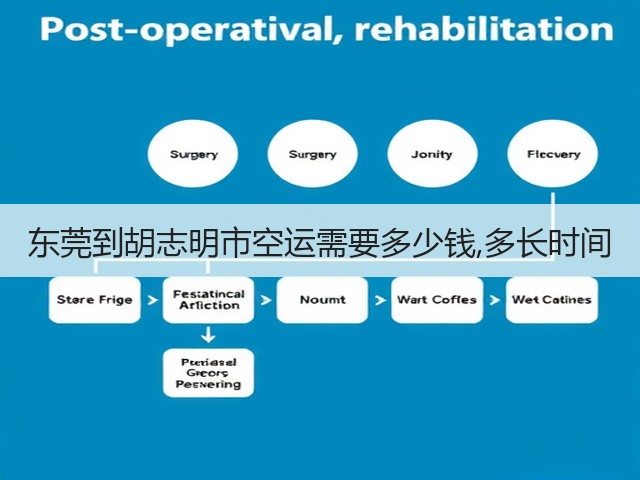 东莞到胡志明市空运需要多少钱,多长时间(图1) 东莞到胡志明市空运需要多少钱,多长时间(图1)