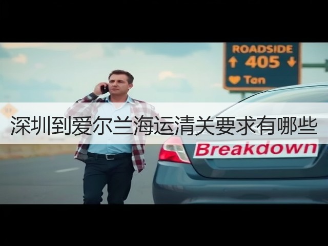 深圳到爱尔兰海运清关要求有哪些(图1) 深圳到爱尔兰海运清关要求有哪些(图1)