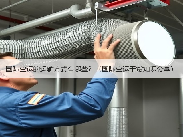 国际空运的运输方式有哪些?(国际空运干货知识分享)(图2) 国际空运的运输方式有哪些?(国际空运干货知识分享)(图2)