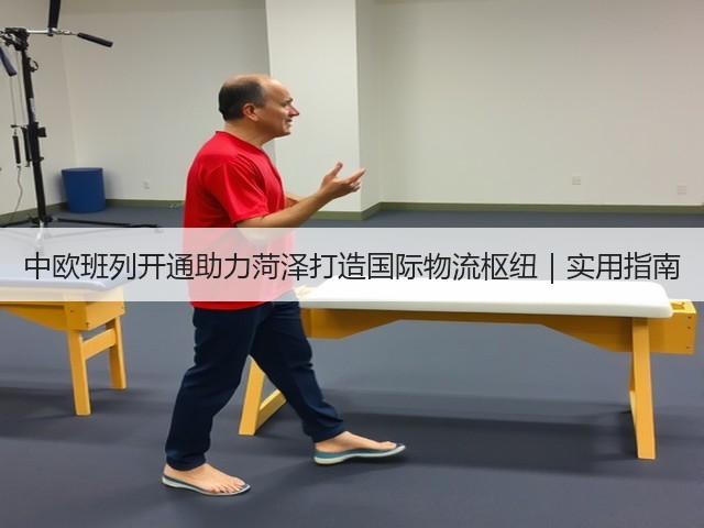 中欧班列开通助力菏泽打造国际物流枢纽|实用指南(图3) 中欧班列开通助力菏泽打造国际物流枢纽|实用指南(图3)