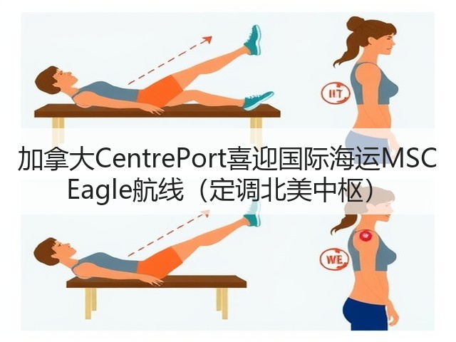 加拿大CentrePort喜迎国际海运MSC Eagle航线(定调北美中枢)(图1) 加拿大CentrePort喜迎国际海运MSC Eagle航线(定调北美中枢)(图1)