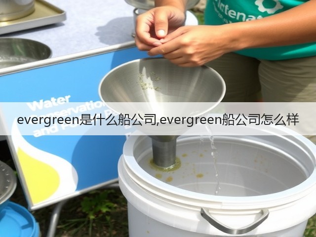 evergreen是什么船公司,evergreen船公司怎么样(图2) evergreen是什么船公司,evergreen船公司怎么样(图2)