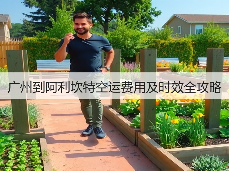 广州到阿利坎特空运费用及时效全攻略 广州到阿利坎特空运费用及时效全攻略