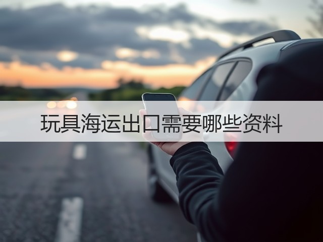 玩具海运出口需要哪些资料(图3) 玩具海运出口需要哪些资料(图3)