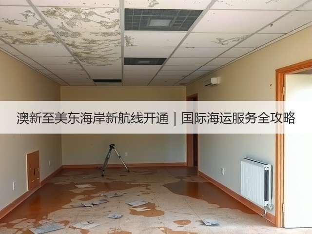 澳新至美东海岸新航线开通|国际海运服务全攻略(图3) 澳新至美东海岸新航线开通|国际海运服务全攻略(图3)