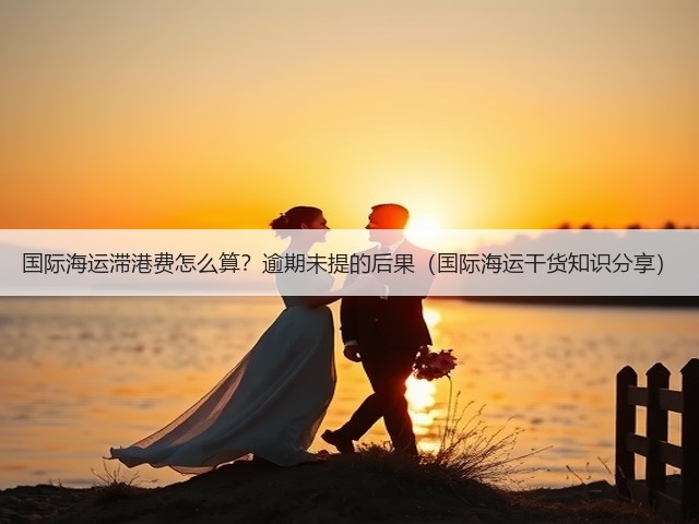 国际海运滞港费怎么算?逾期未提的后果(国际海运干货知识分享)(图1) 国际海运滞港费怎么算?逾期未提的后果(国际海运干货知识分享)(图1)