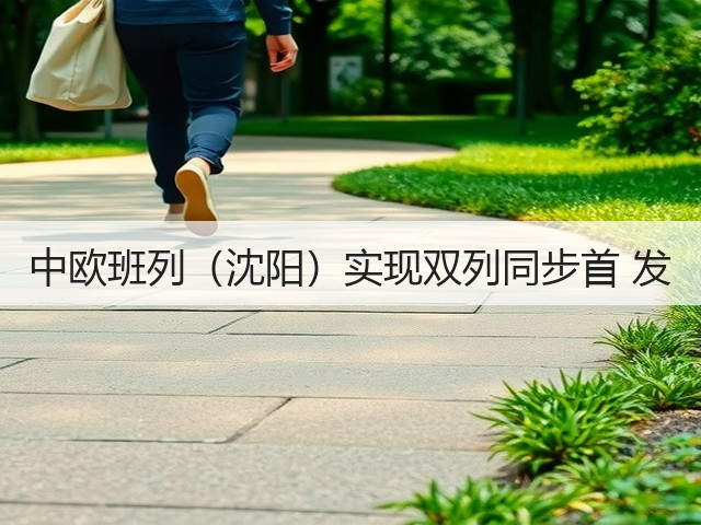 中欧班列(沈阳)实现双列同步首 发(图3) 中欧班列(沈阳)实现双列同步首 发(图3)