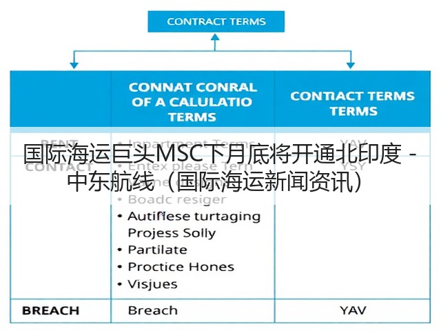 国际海运巨头MSC下月底将开通北印度 - 中东航线(国际海运新闻资讯)(图3) 国际海运巨头MSC下月底将开通北印度 - 中东航线(国际海运新闻资讯)(图3)