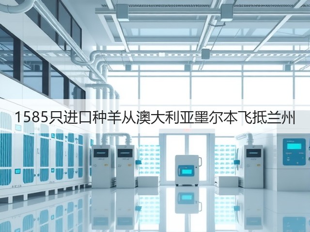 1585只进口种羊从澳大利亚墨尔本飞抵兰州(图2) 1585只进口种羊从澳大利亚墨尔本飞抵兰州(图2)