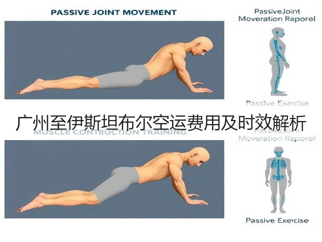 广州至伊斯坦布尔空运费用及时效解析(图3) 广州至伊斯坦布尔空运费用及时效解析(图3)