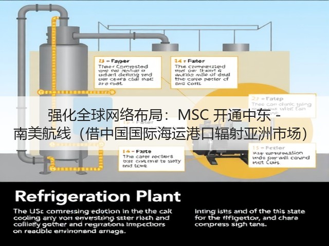强化全球网络布局:MSC 开通中东 - 南美航线(借中国国际海运港口辐射亚洲市场)(图3) 强化全球网络布局:MSC 开通中东 - 南美航线(借中国国际海运港口辐射亚洲市场)(图3)