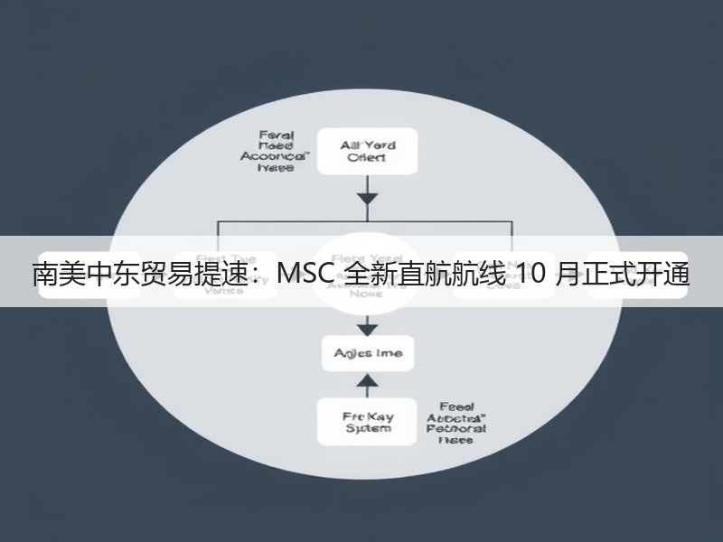 南美中东贸易提速:MSC 全新直航航线 10 月正式开通 南美中东贸易提速:MSC 全新直航航线 10 月正式开通