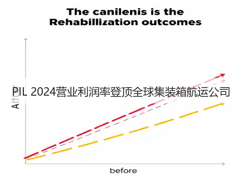 PIL 2024营业利润率登顶全球集装箱航运公司 PIL 2024营业利润率登顶全球集装箱航运公司
