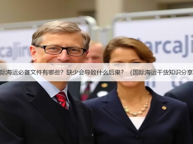 国际海运必备文件有哪些?缺少会导致什么后果?(国际海运干货知识分享)(图3) 国际海运必备文件有哪些?缺少会导致什么后果?(国际海运干货知识分享)(图3)