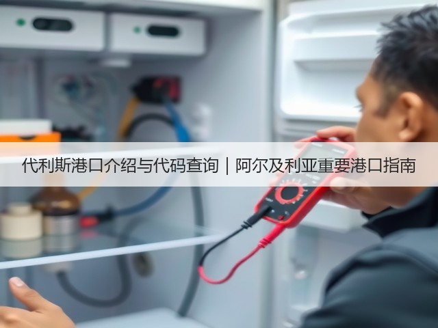 代利斯港口介绍与代码查询|阿尔及利亚重要港口指南(图2) 代利斯港口介绍与代码查询|阿尔及利亚重要港口指南(图2)