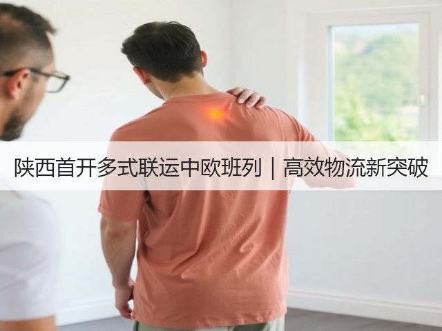 陕西首开多式联运中欧班列|高效物流新突破(图2) 陕西首开多式联运中欧班列|高效物流新突破(图2)